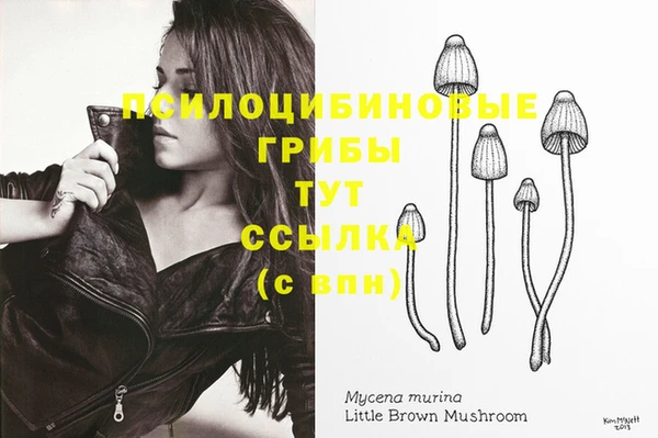 синтетический гашиш Гусиноозёрск
