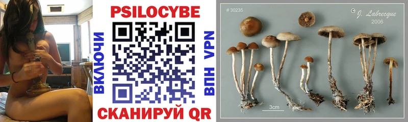 Галлюциногенные грибы ЛСД  Ельня 